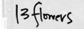 13 Flowers